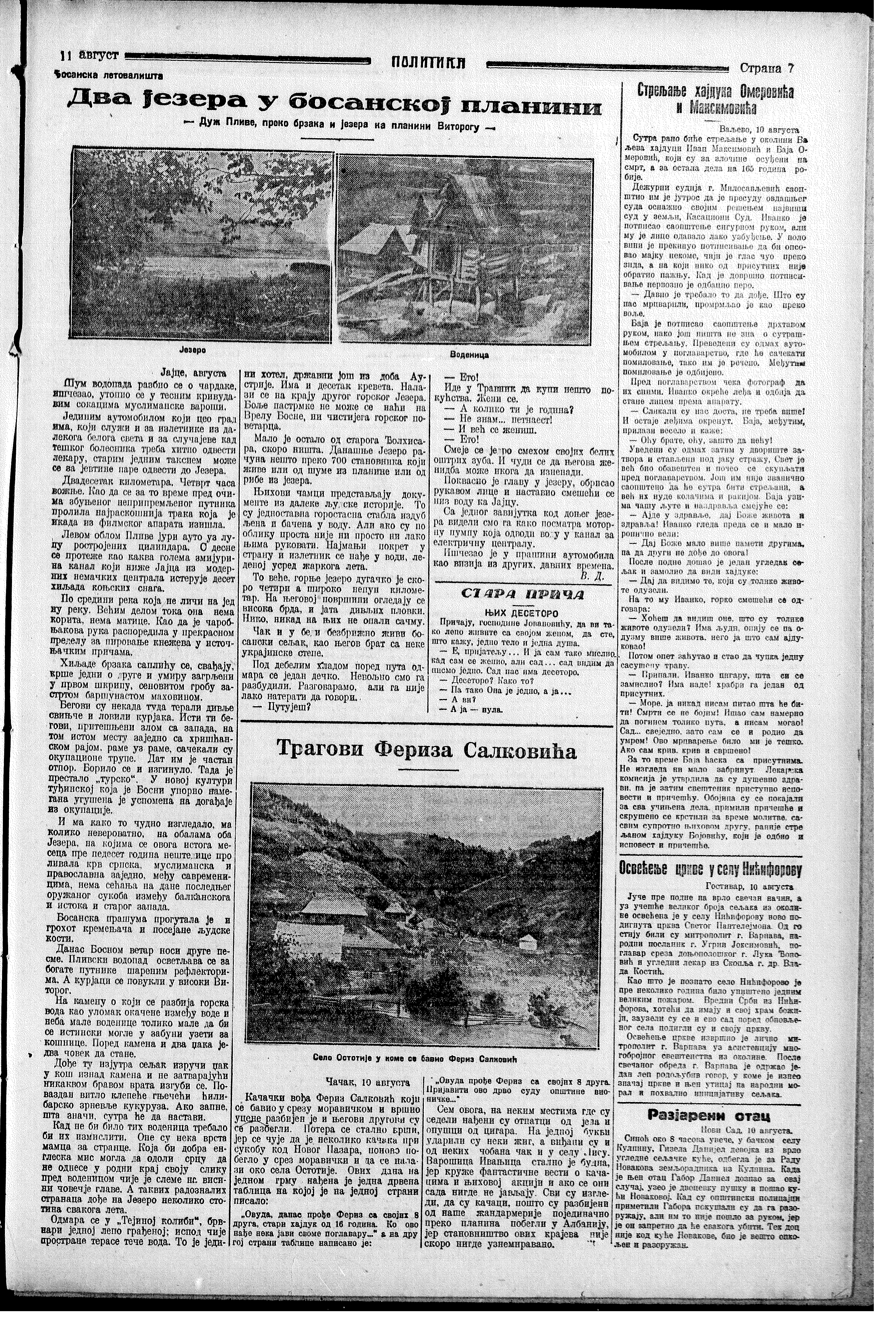 Streljanje hajduka, Politika, 11.08.1928.